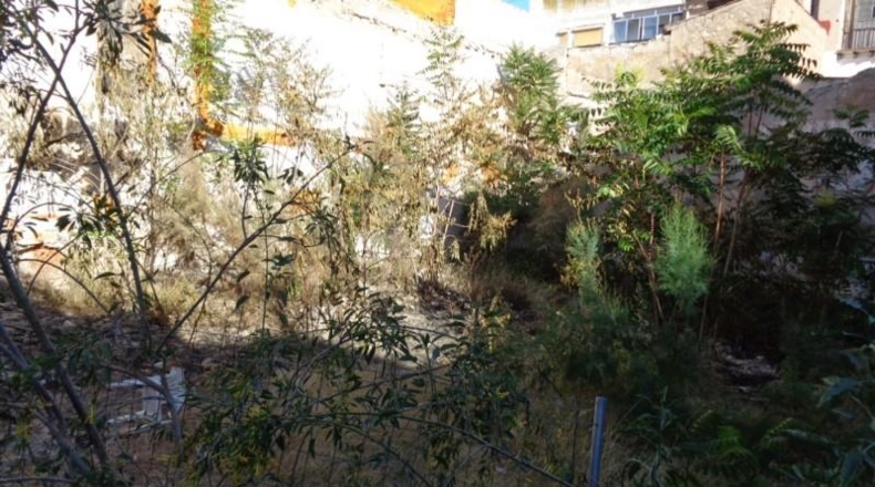 Alicante - Elda - 500m2