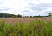 Chalet independiente con terreno en venta en la España, Campanet, ref: TR135305 foto