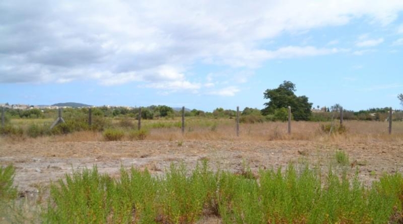 Islas Baleares - Campanet - 14270m2
