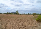 Chalet independiente con terreno en venta en la España, Campanet, ref: TR135305 foto
