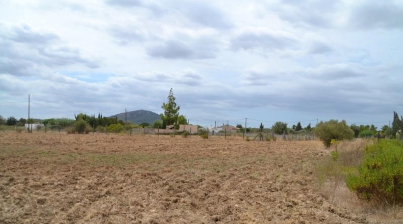 Islas Baleares - Campanet - 14270m2