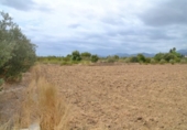 Chalet independiente con terreno en venta en la España, Campanet, ref: TR135305 foto