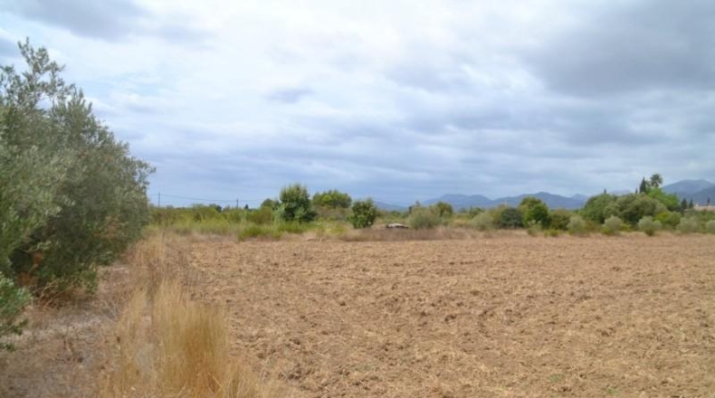 Islas Baleares - Campanet - 14270m2