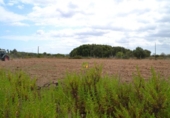 Chalet independiente con terreno en venta en la España, Campanet, ref: TR135305 foto