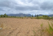 Chalet independiente con terreno en venta en la España, Campanet, ref: TR135305 foto