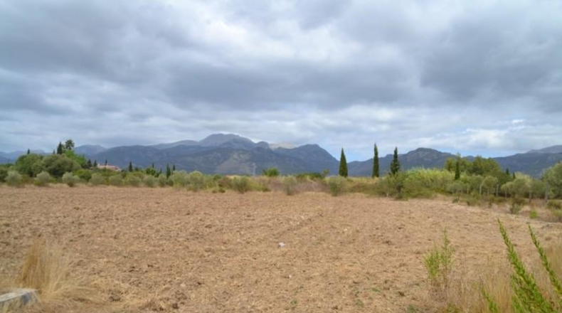 Islas Baleares - Campanet - 14270m2