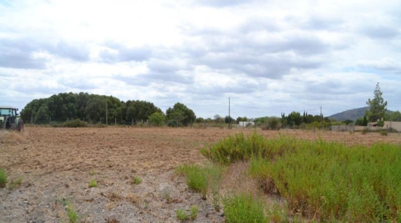 Islas Baleares - Campanet - 14270m2