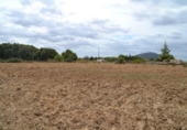 Chalet independiente con terreno en venta en la España, Campanet, ref: TR135305 foto