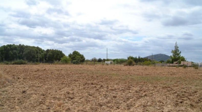 Islas Baleares - Campanet - 14270m2