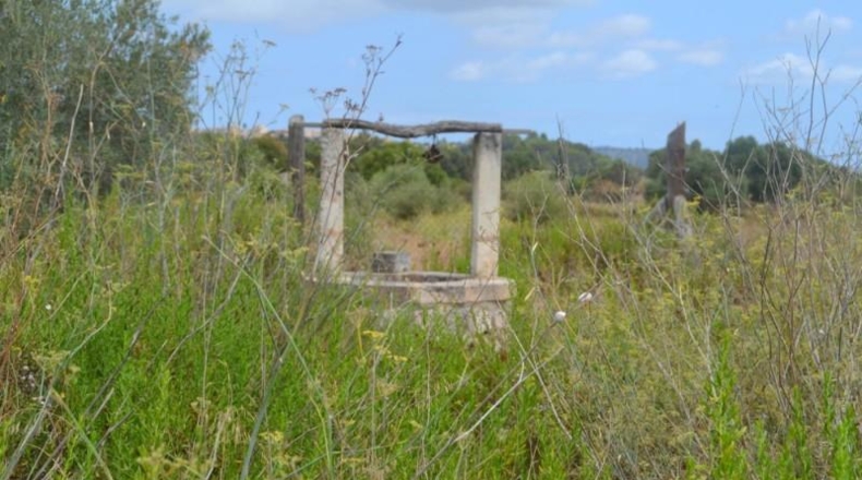 Islas Baleares - Campanet - 14270m2