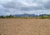 Chalet independiente con terreno en venta en la España, Campanet, ref: TR135305 foto