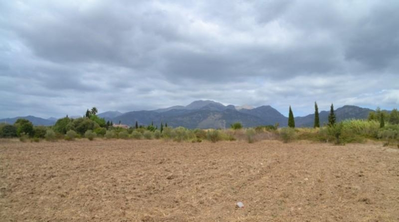 Islas Baleares - Campanet - 14270m2