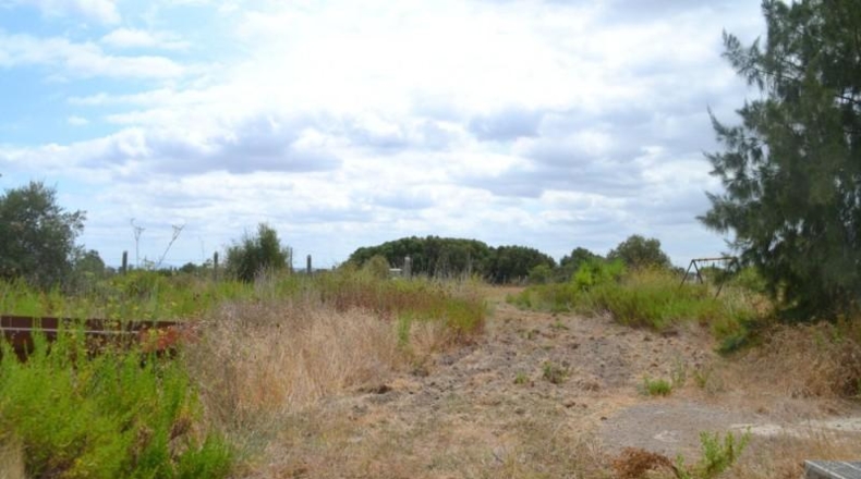 Islas Baleares - Campanet - 14270m2