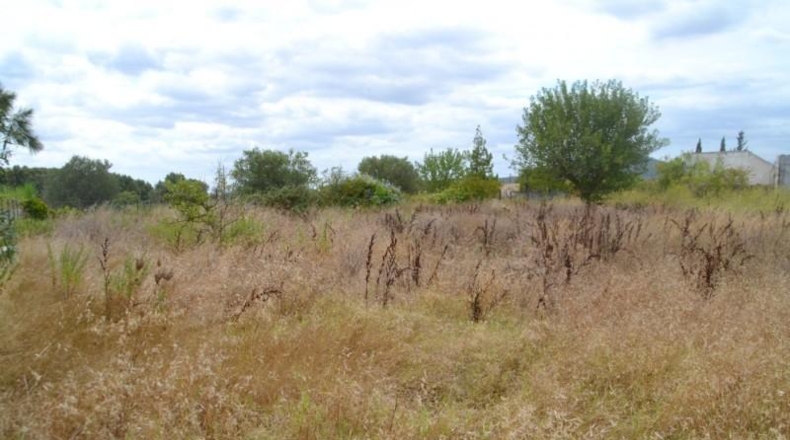 Islas Baleares - Campanet - 14270m2