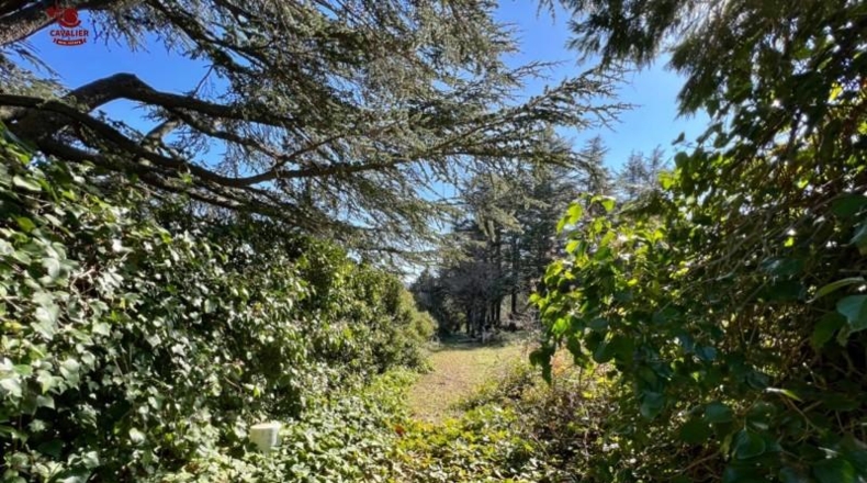 Comunidad de Madrid - Cercedilla - 1123m2