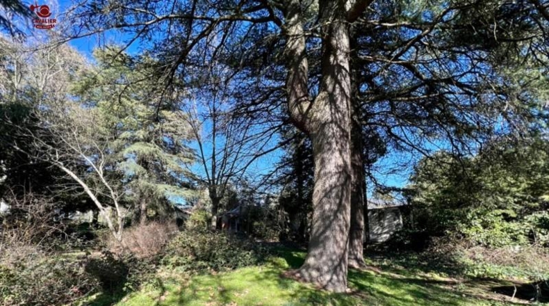 Comunidad de Madrid - Cercedilla - 1123m2
