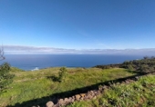 Non-developable land for sale on España, La Rambla, ref: TR383002 photo
