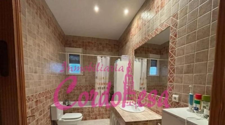 Córdoba - Còrdova - 1900m2