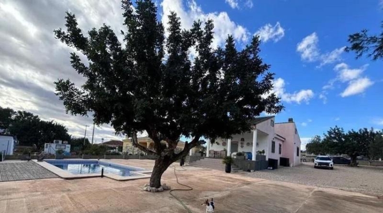 Valencia - Alcira - 1500m2