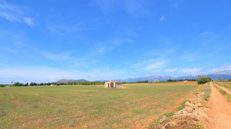 Islas Baleares - Llubí - 20369m2