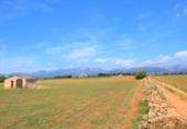 Chalet independiente con terreno en venta en la España, Llubí, ref: TR147441 foto