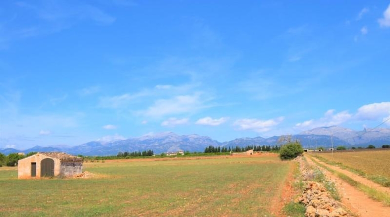 Islas Baleares - Llubí - 20369m2
