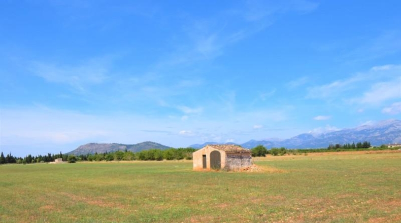 Islas Baleares - Llubí - 20369m2