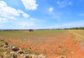Chalet independiente con terreno en venta en la España, Llubí, ref: TR147441 foto