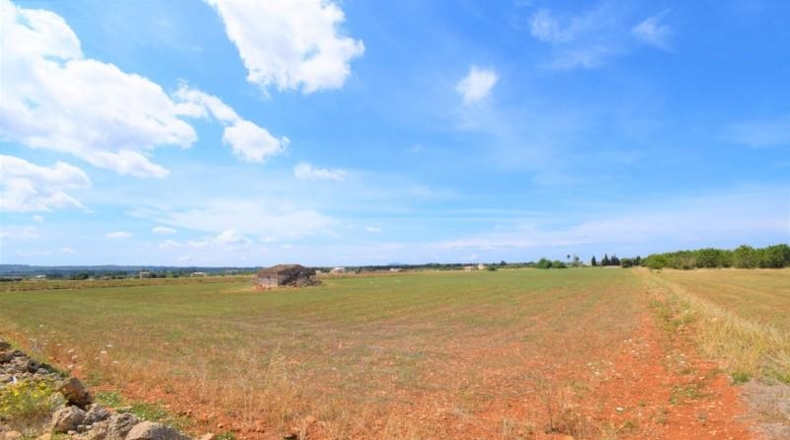 Islas Baleares - Llubí - 20369m2