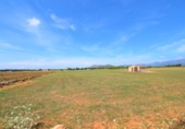 Chalet independiente con terreno en venta en la España, Llubí, ref: TR147441 foto
