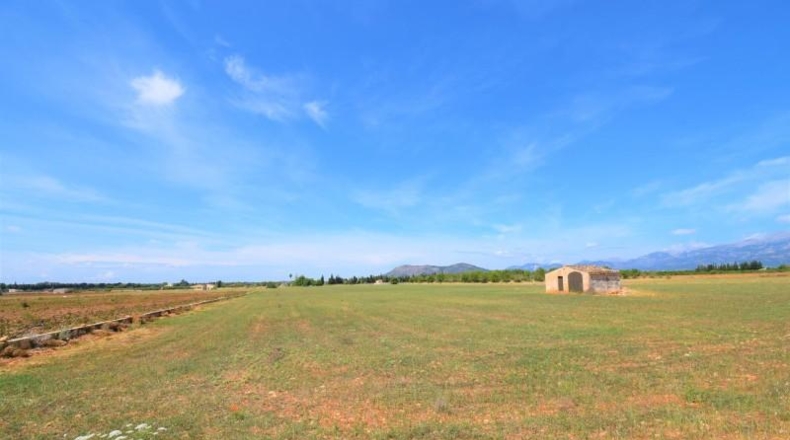Islas Baleares - Llubí - 20369m2