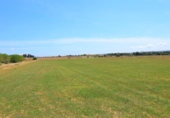 Chalet independiente con terreno en venta en la España, Llubí, ref: TR147441 foto