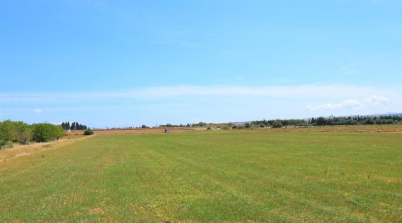 Islas Baleares - Llubí - 20369m2