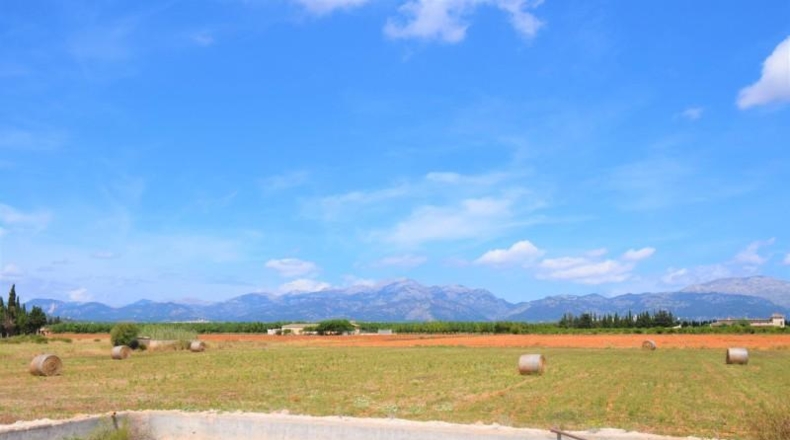 Islas Baleares - Llubí - 20369m2