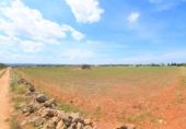 Chalet independiente con terreno en venta en la España, Llubí, ref: TR147441 foto