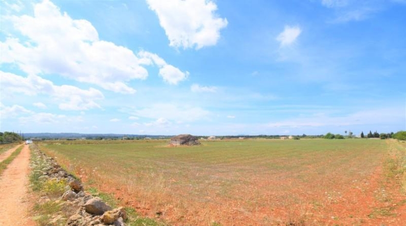 Islas Baleares - Llubí - 20369m2