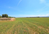 Chalet independiente con terreno en venta en la España, Llubí, ref: TR147441 foto