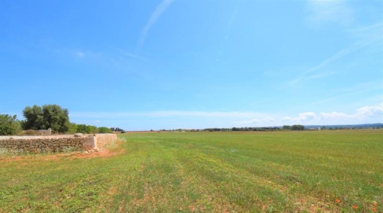 Islas Baleares - Llubí - 20369m2