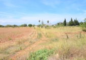Chalet independiente con terreno en venta en la España, Llubí, ref: TR147441 foto