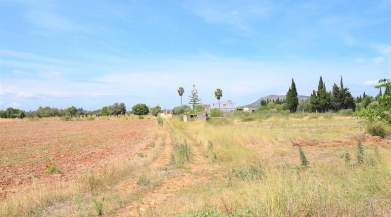 Islas Baleares - Llubí - 20369m2