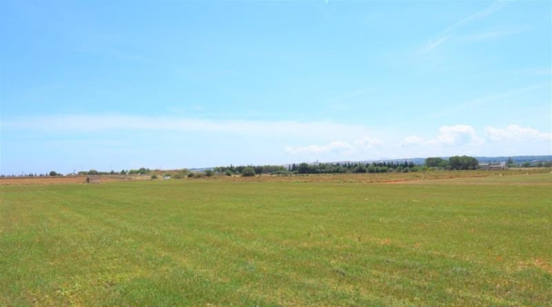 Islas Baleares - Llubí - 20369m2