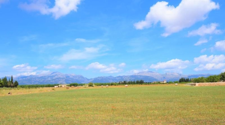 Islas Baleares - Llubí - 20369m2