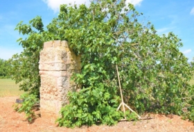 Foto 16