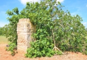 Chalet independiente con terreno en venta en la España, Llubí, ref: TR147441 foto