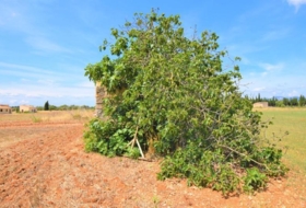 Foto 15