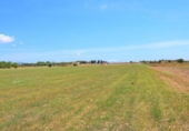 Chalet independiente con terreno en venta en la España, Llubí, ref: TR147441 foto