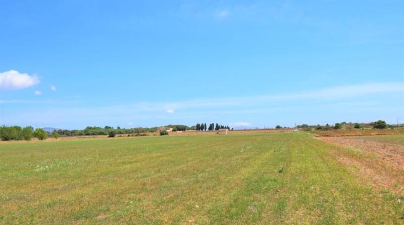 Islas Baleares - Llubí - 20369m2