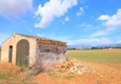 Chalet independiente con terreno en venta en la España, Llubí, ref: TR147441 foto