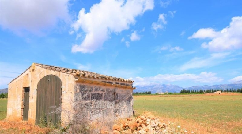 Islas Baleares - Llubí - 20369m2