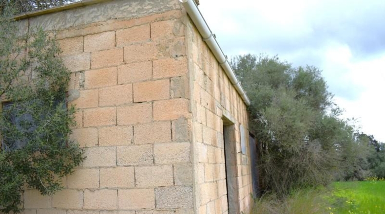 Balearic Islands - Muro - 15988m2